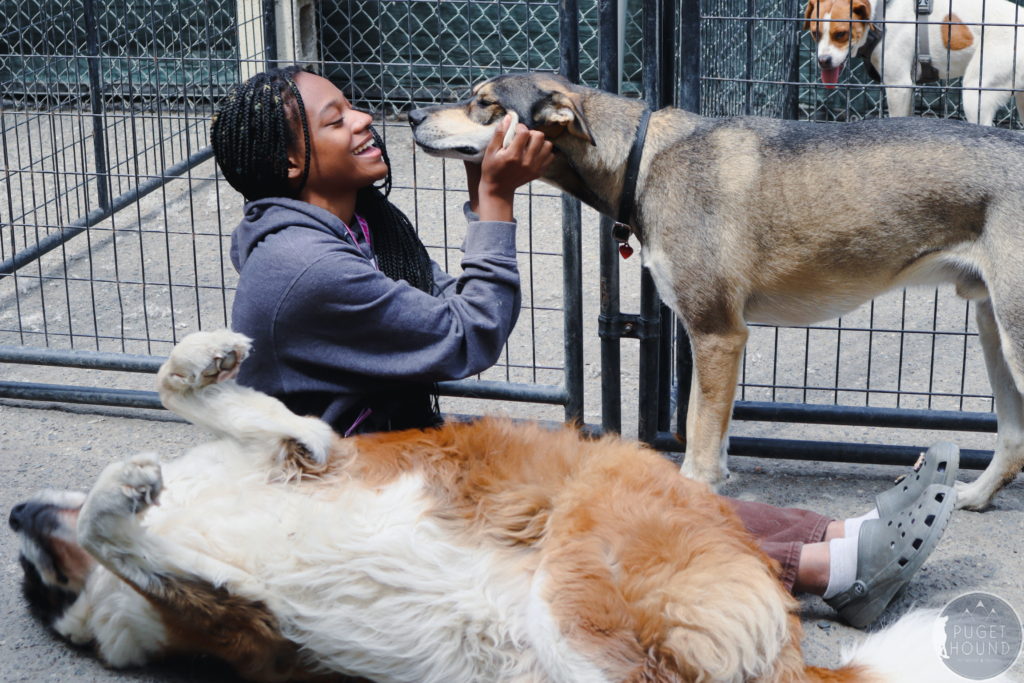 Puget Hound Doggie Daycare Staff cuddle the dogs